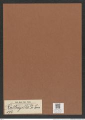 Rattrayella sp. (de-Toni-Nr.: Genus 176) Zeichnungen Sammlung Grunow Mappe 04385 (Herbarium_W_Grunow_drawings_Folder_04385)
